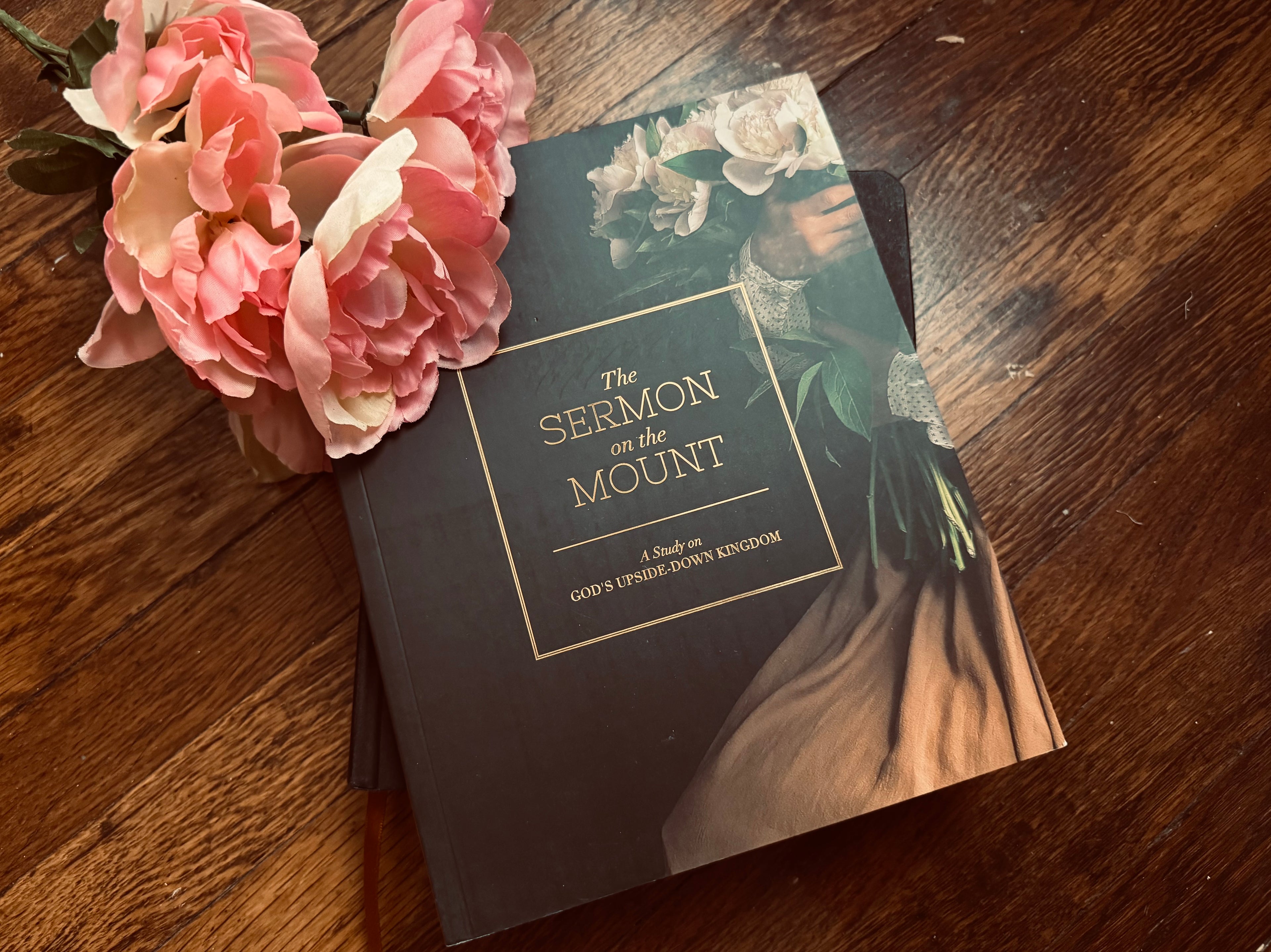 The Sermon on the Mount Bible Study