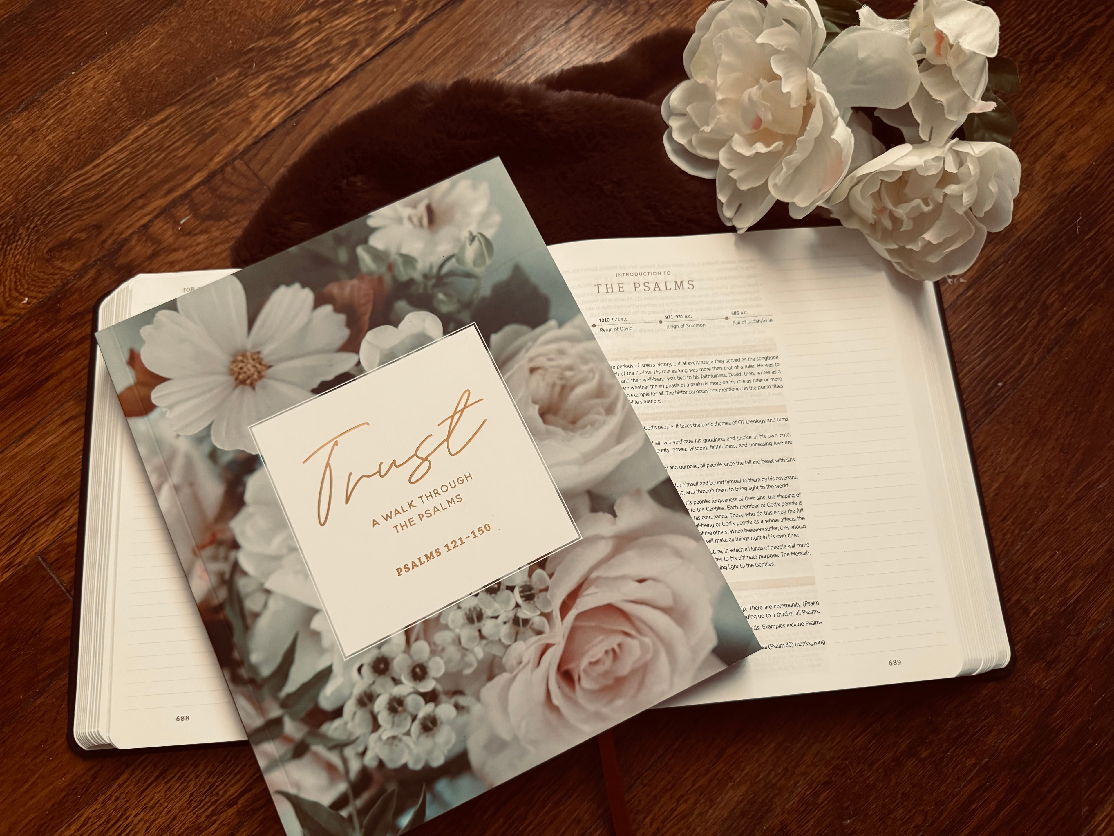 Trust- A Walk Through Psalms 121–150