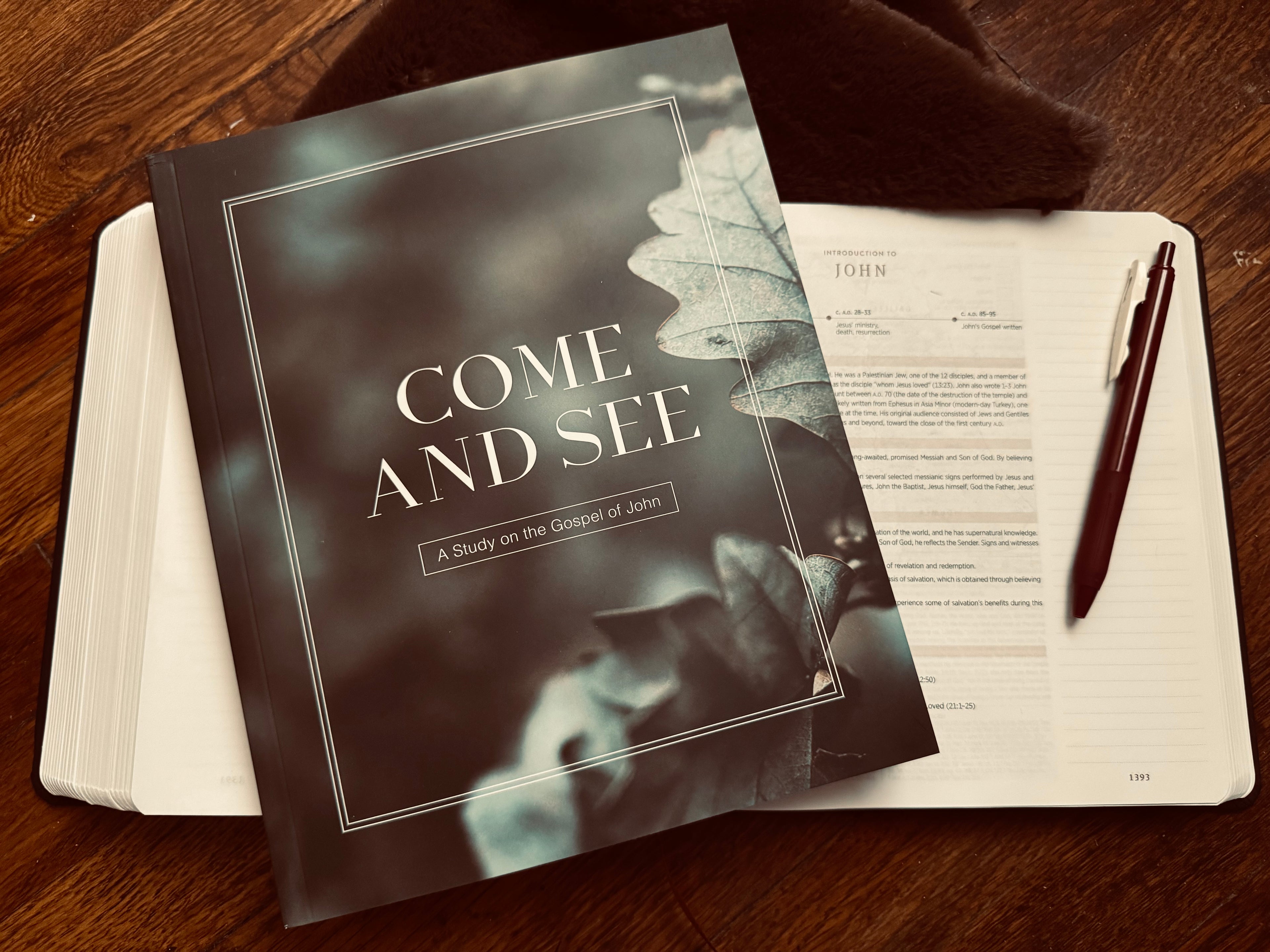 Come And See Men's Bible Study