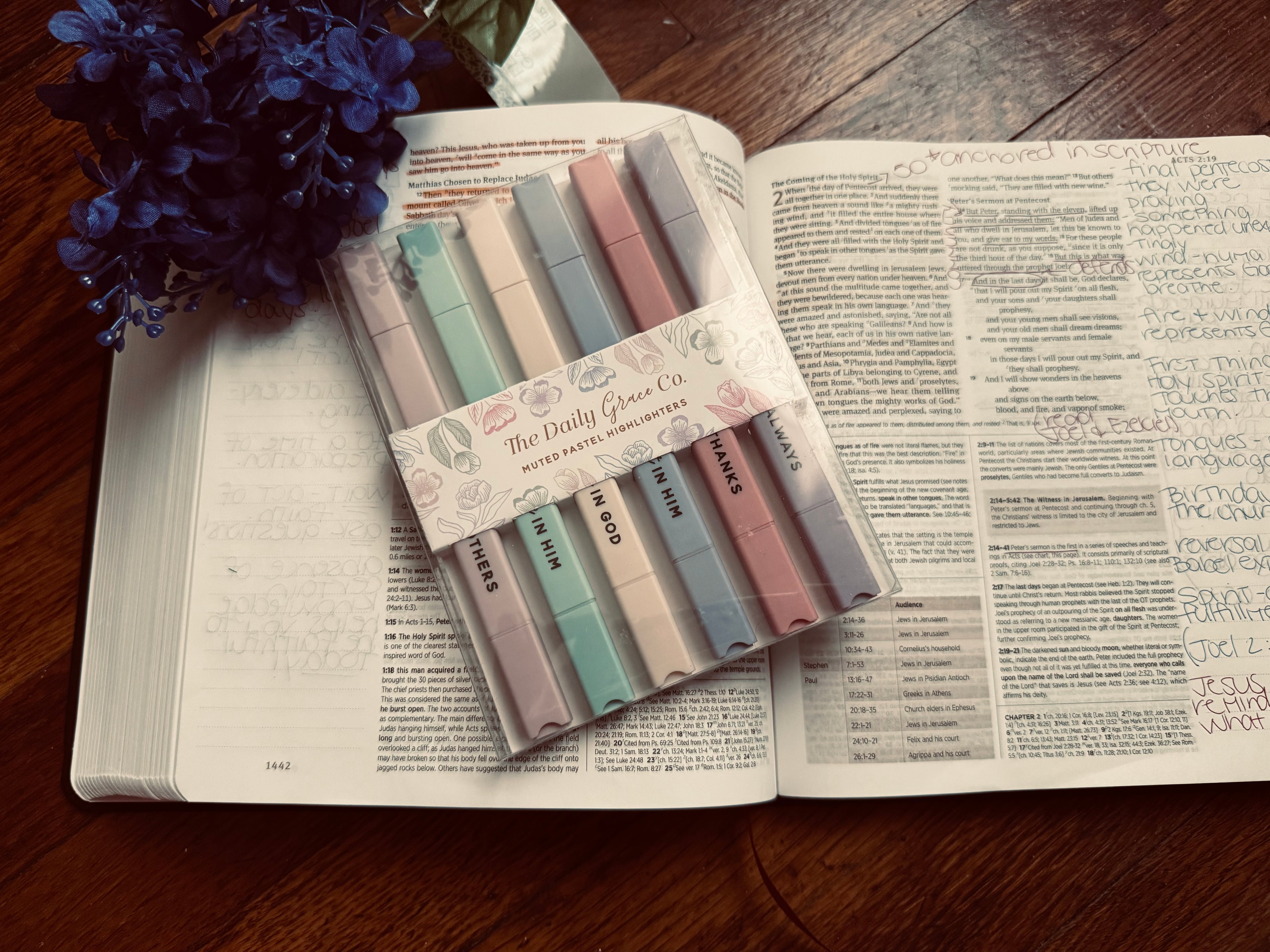 Muted Pastel Bible Study Highlighters