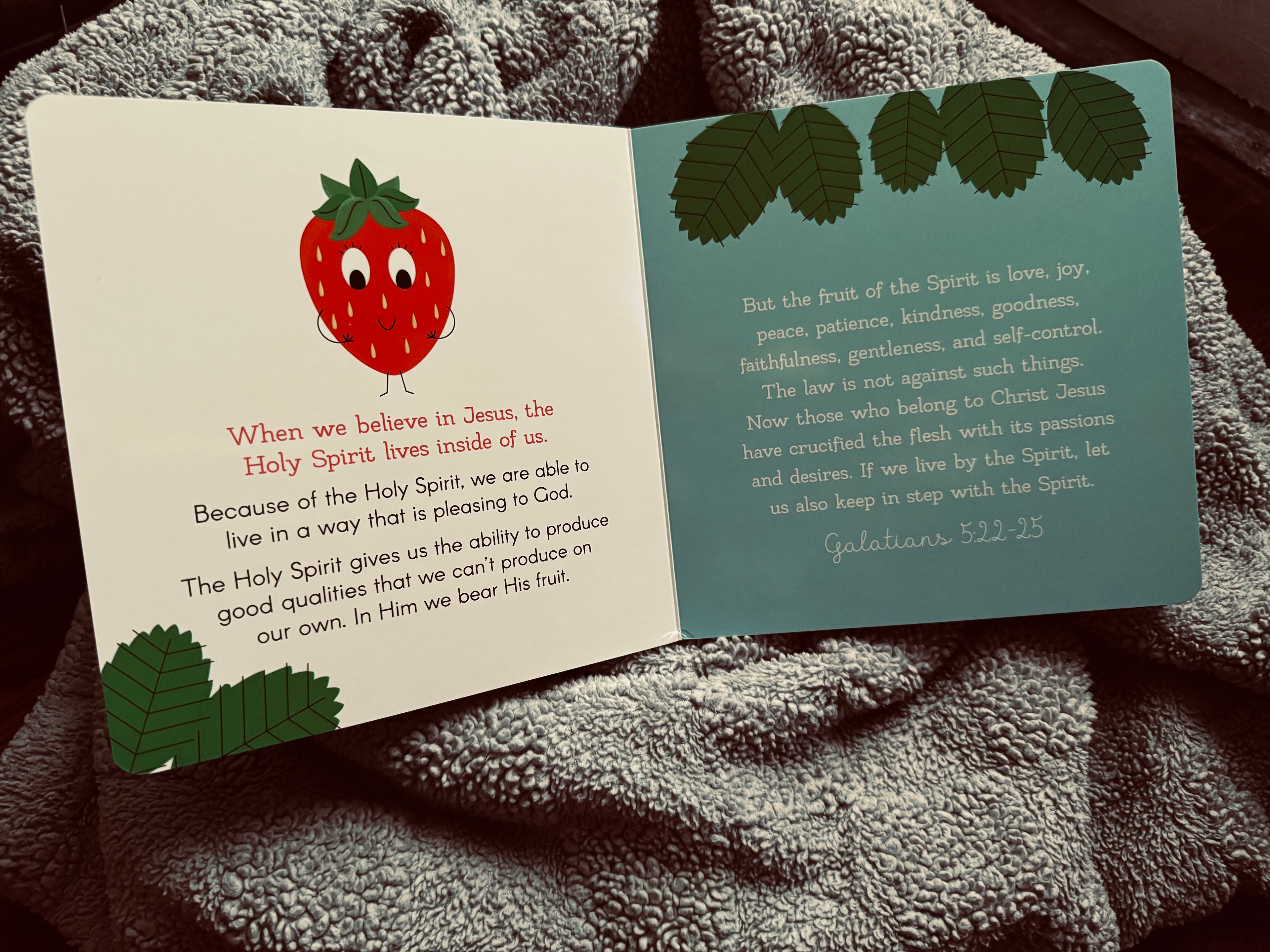 The Fruit of the Spirit- Children's Board Book