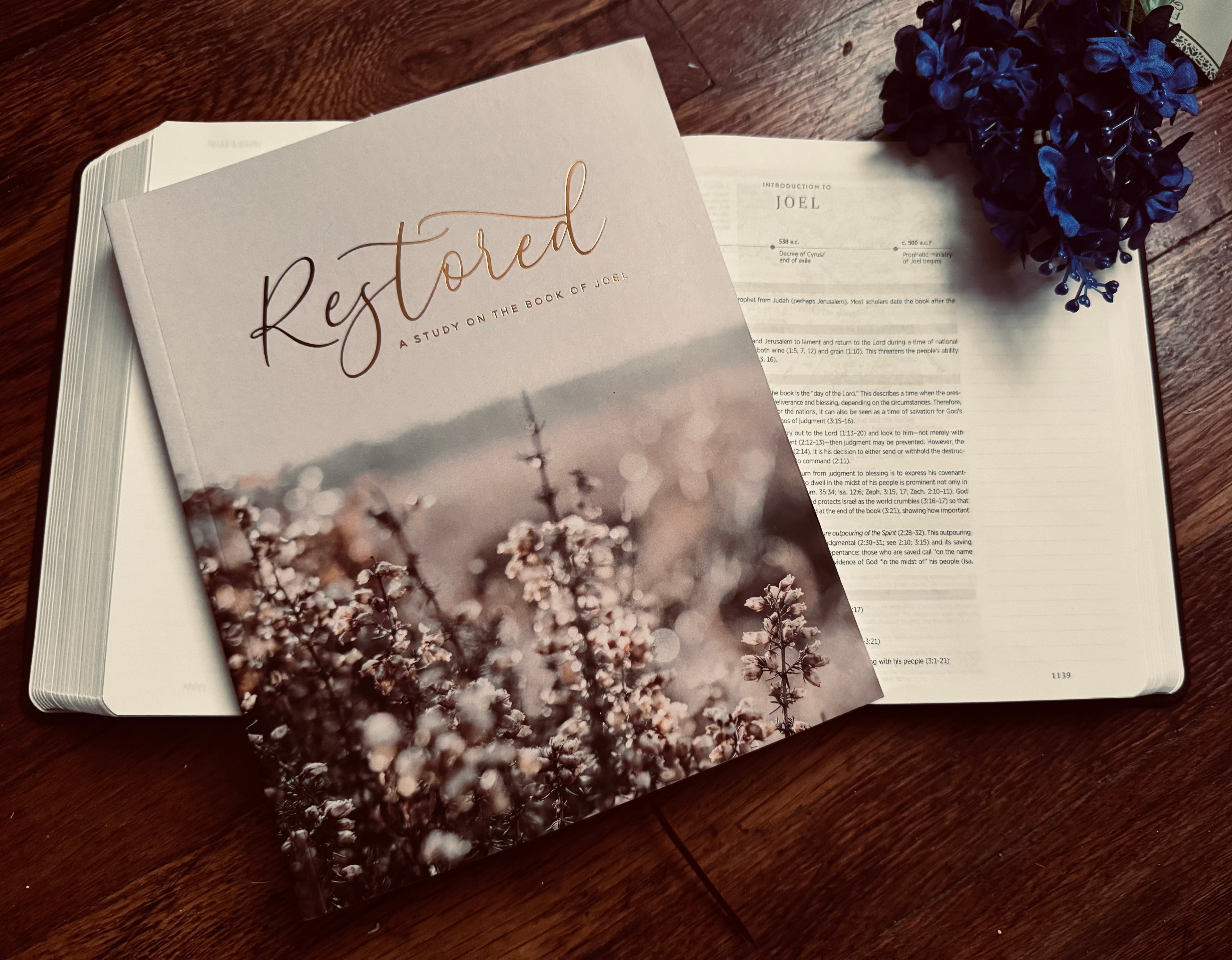 Restored Bible Study