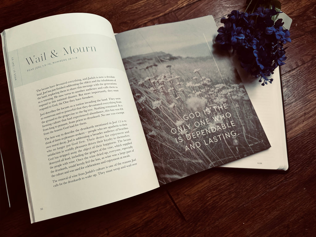 Restored Bible Study