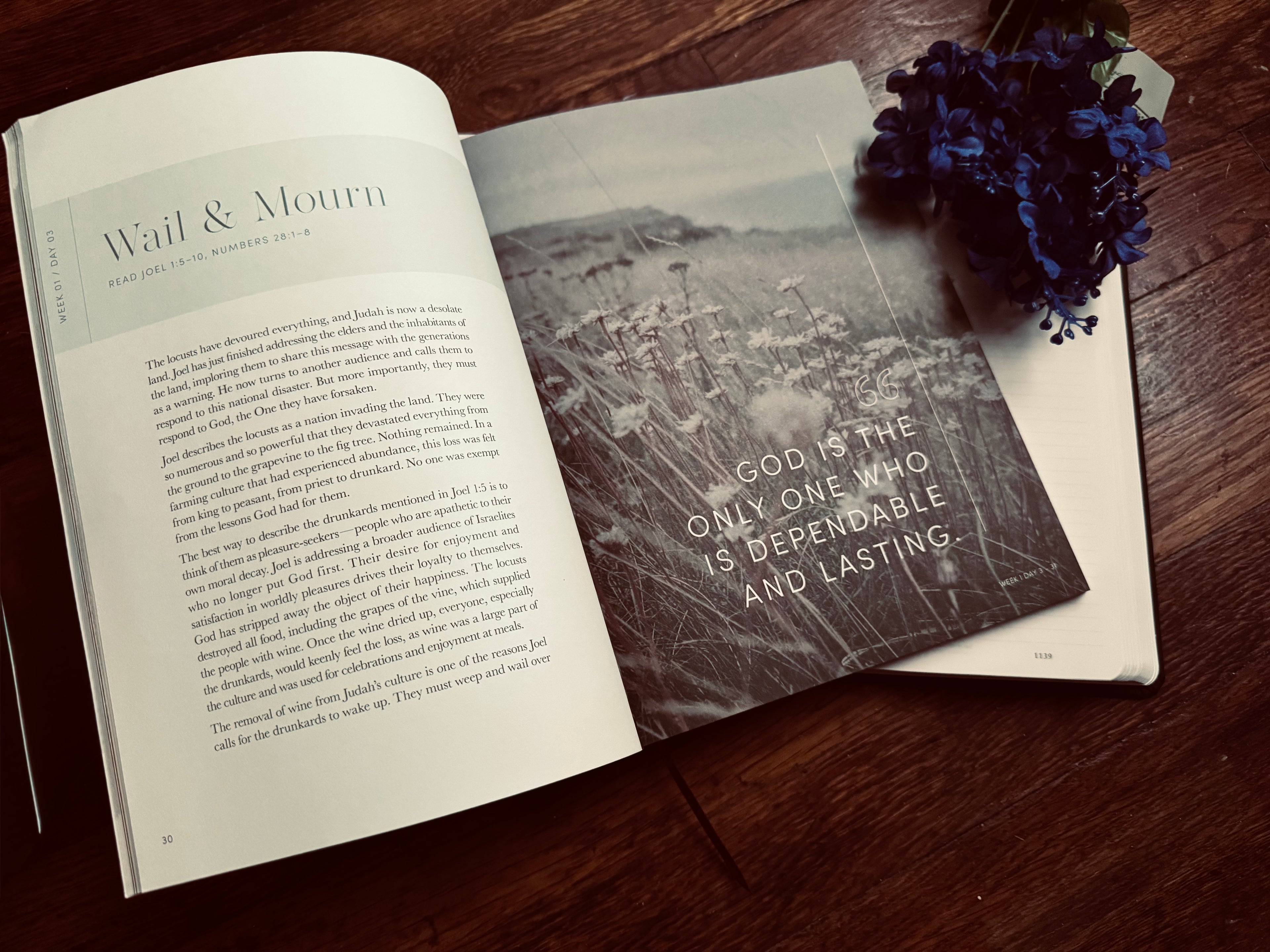 Restored Bible Study