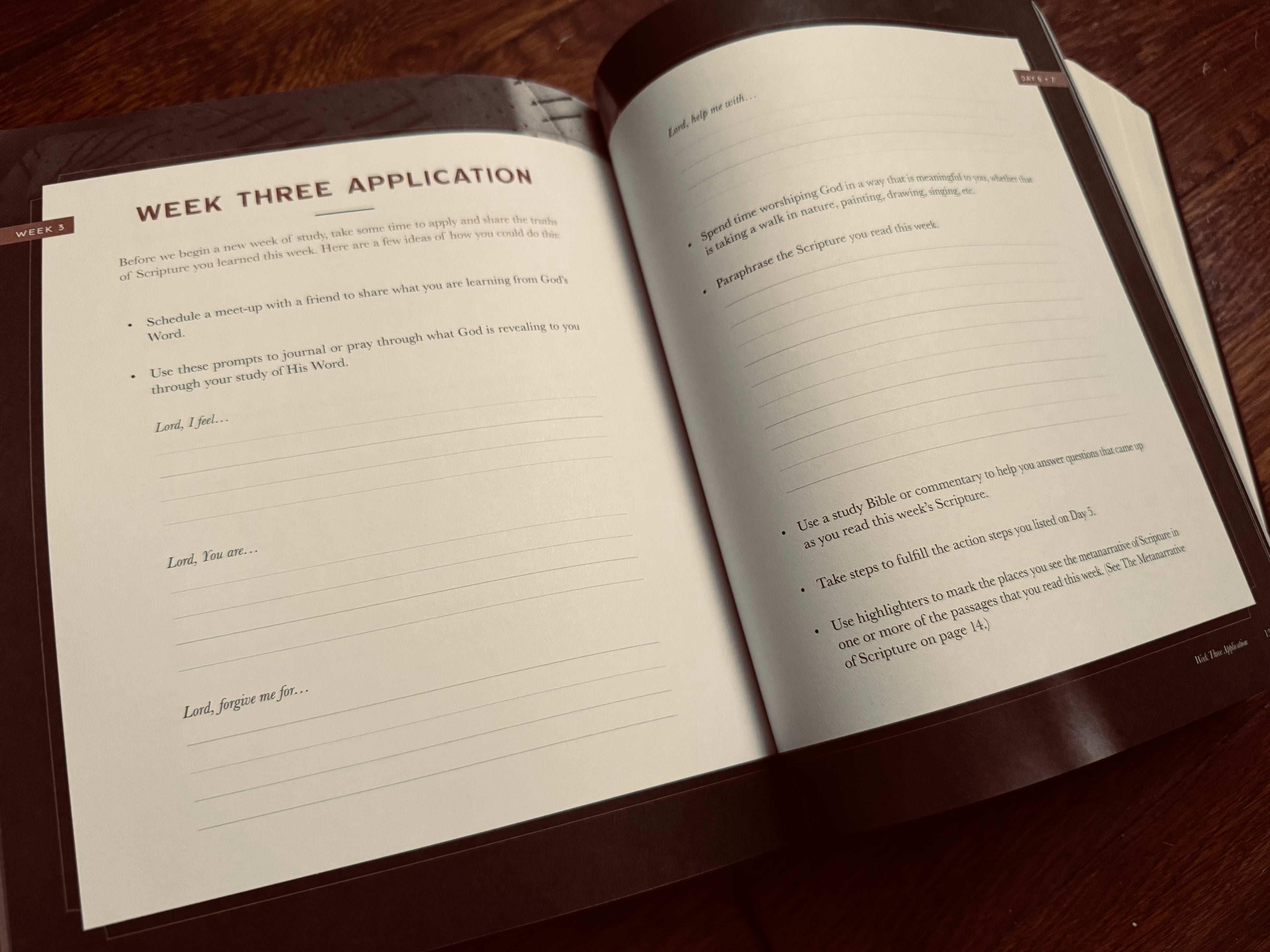 Job- Men's Bible Study